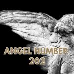Angel Number 202 and Twin Flame Connection: Service, Creativity, and Divine Harmony