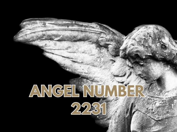Angel Number 2231 and Twin Flame Connection: Protection & Love